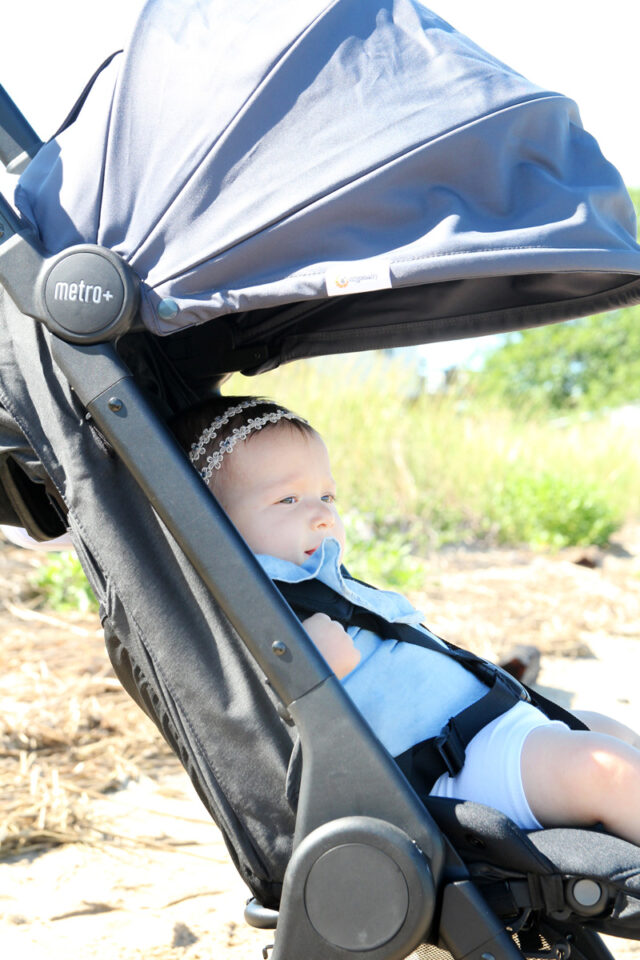 Stroller Cards - Transport