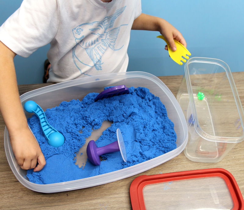 Sensory Bin, Pet Sensory Bin, Kinetic Sand Kit, Sensory Bin for