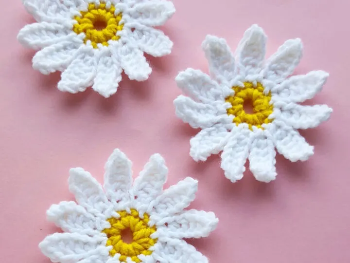 Cute Daisy Crochet Craft