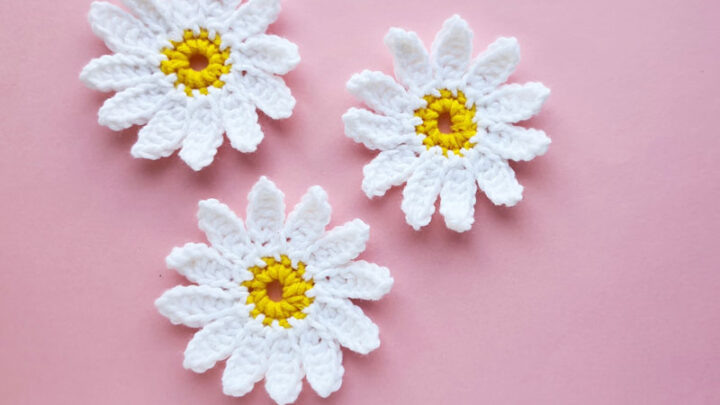 Free Daisy Crochet Pattern