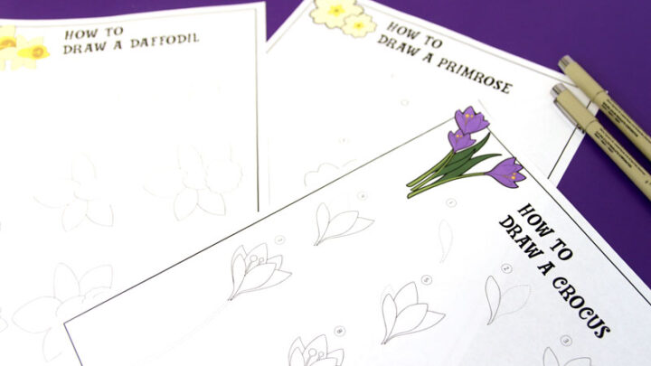How to Draw a Step by Step Flower – Easy Guided Drawing