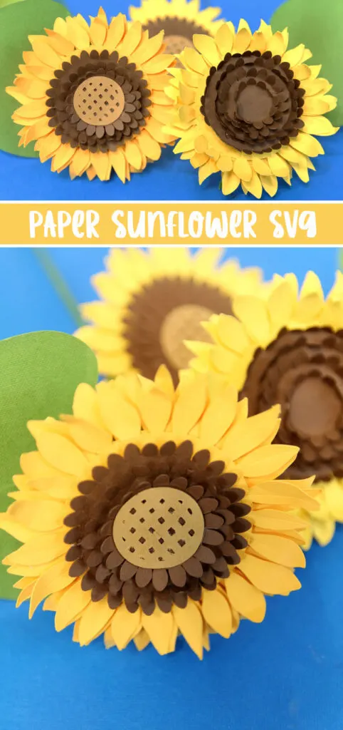 PAPER SUNFLOWER hero image with blue background and text