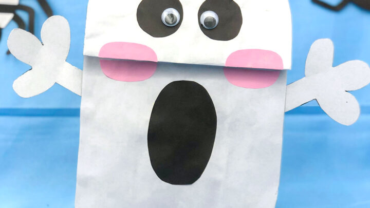 Ghost Hand Puppet Craft