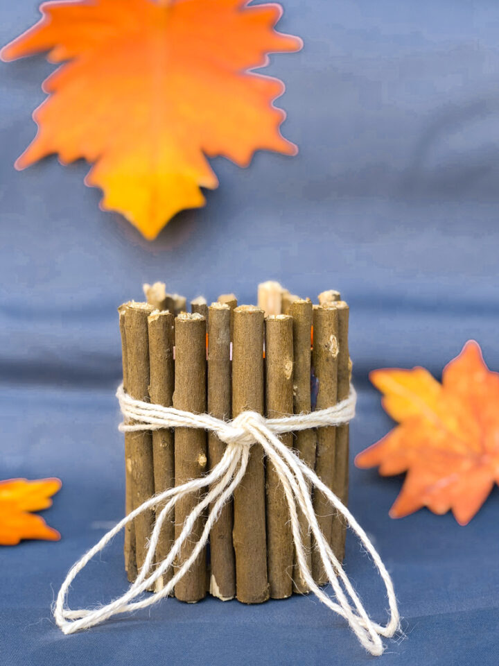 Twig Candle Holder DIY * Moms and Crafters