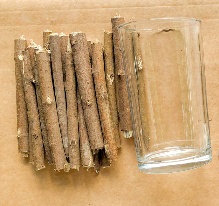 Twig Candle Holder DIY * Moms and Crafters