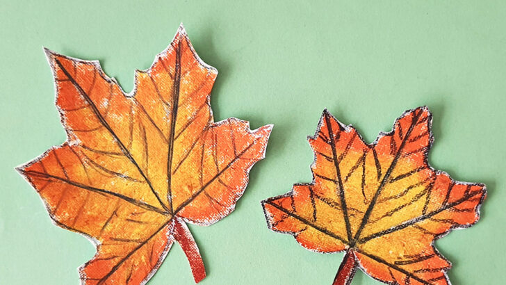 How to Draw a Simple Maple Leaf