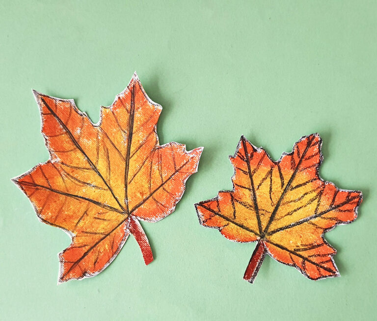 How to Draw a Simple Maple Leaf