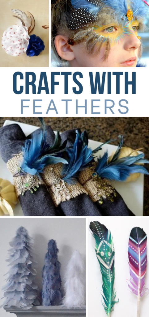 25 Lovely DIY Feather Crafts Ideas