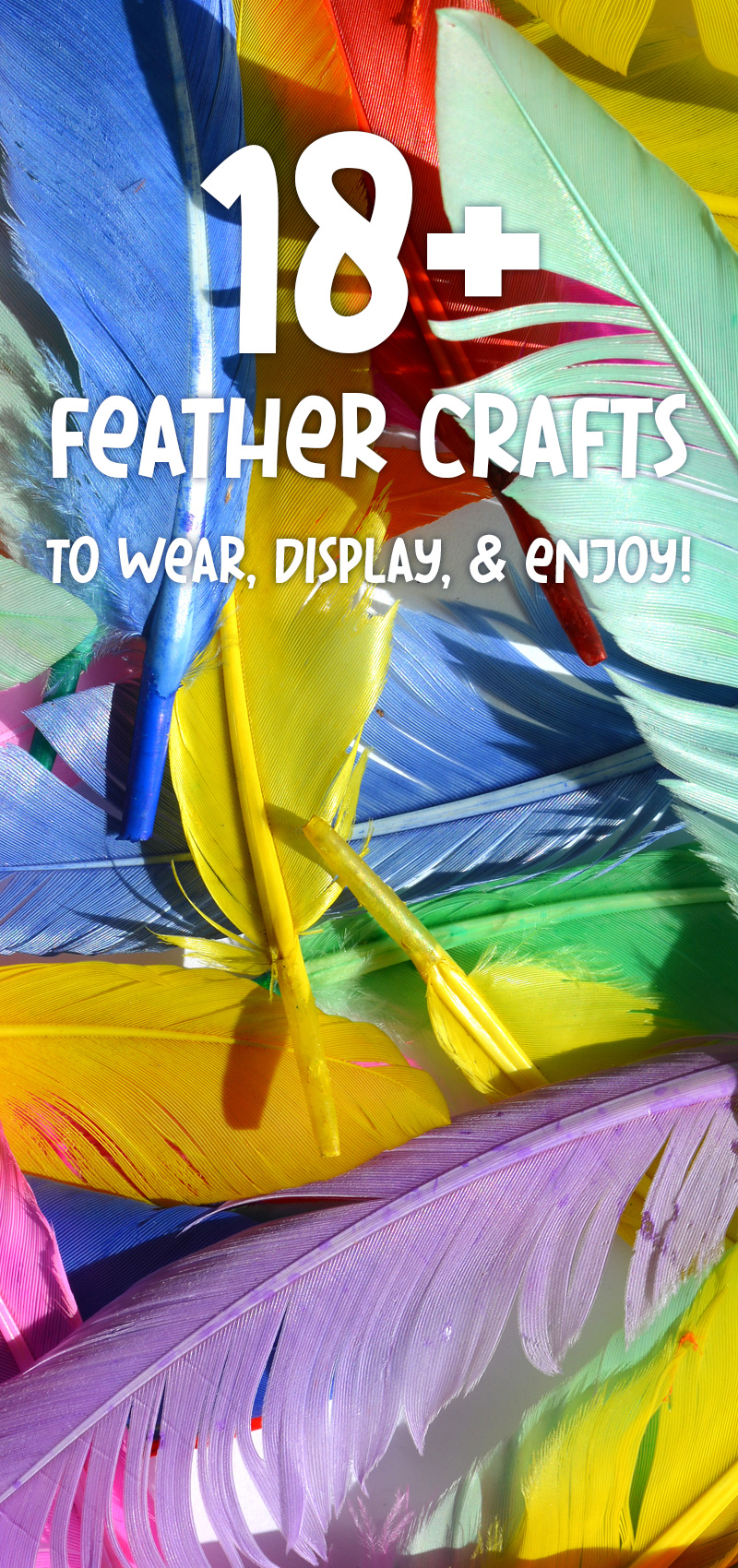 18+ Feather Crafts to Display, Wear, and Enjoy!