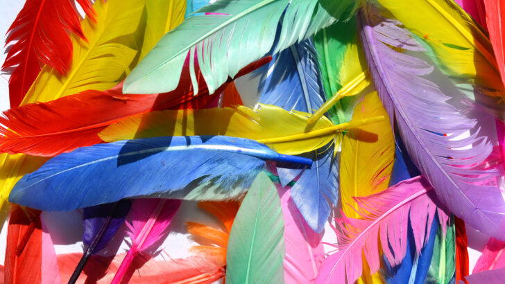 18+ Feather Crafts to Display, Wear, and Enjoy!