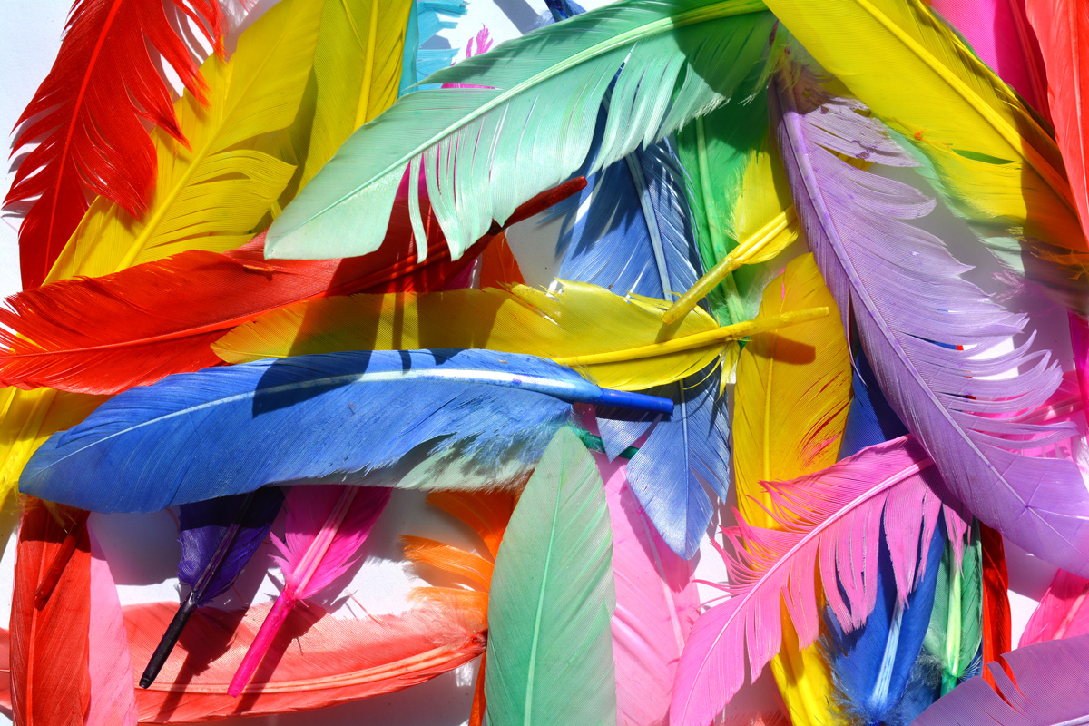 18+ Feather Crafts to Display, Wear, and Enjoy!