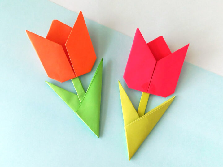 How to Fold an Origami Tulip