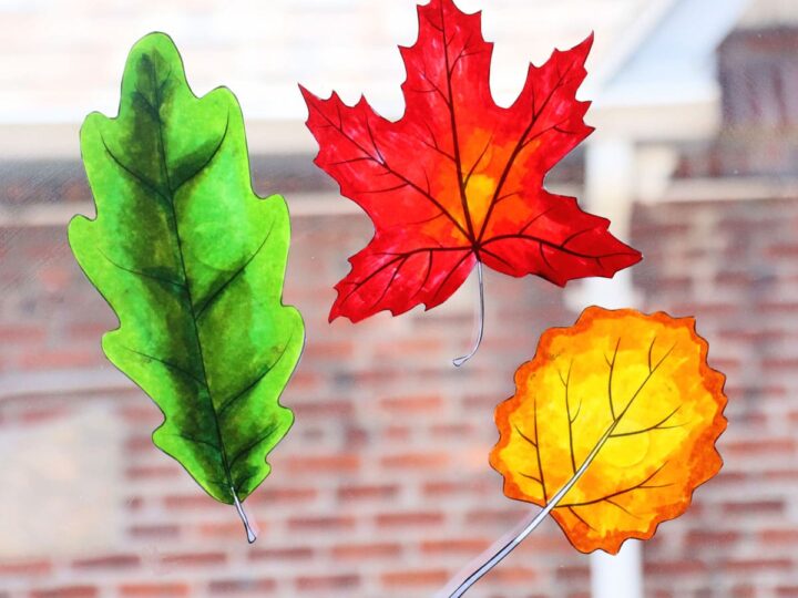 DIY Autumn Leaf Suncatchers Using Baby Oil